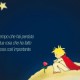 Il Piccolo Principe che parla alla sua rosa